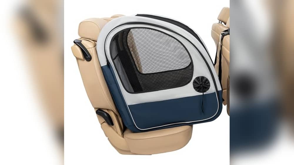 Best Dog Crate for Car Travel