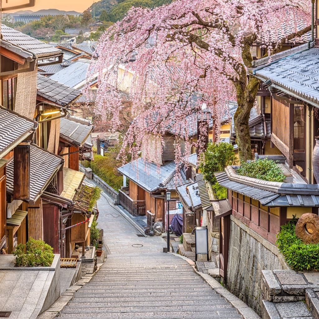 Best Cities in Japan for Tourists