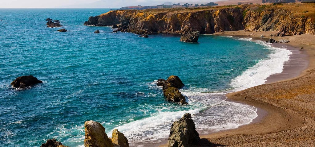 Things to Do in Bodega Bay