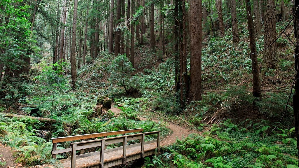 Things to Do in Half Moon Bay