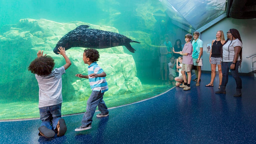 Things to Do in Columbia South Carolina