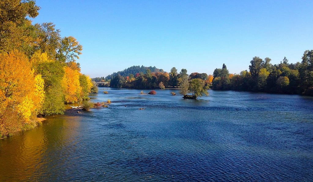 Things to Do in Eugene Oregon