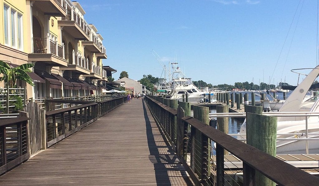 Things to Do in Georgetown