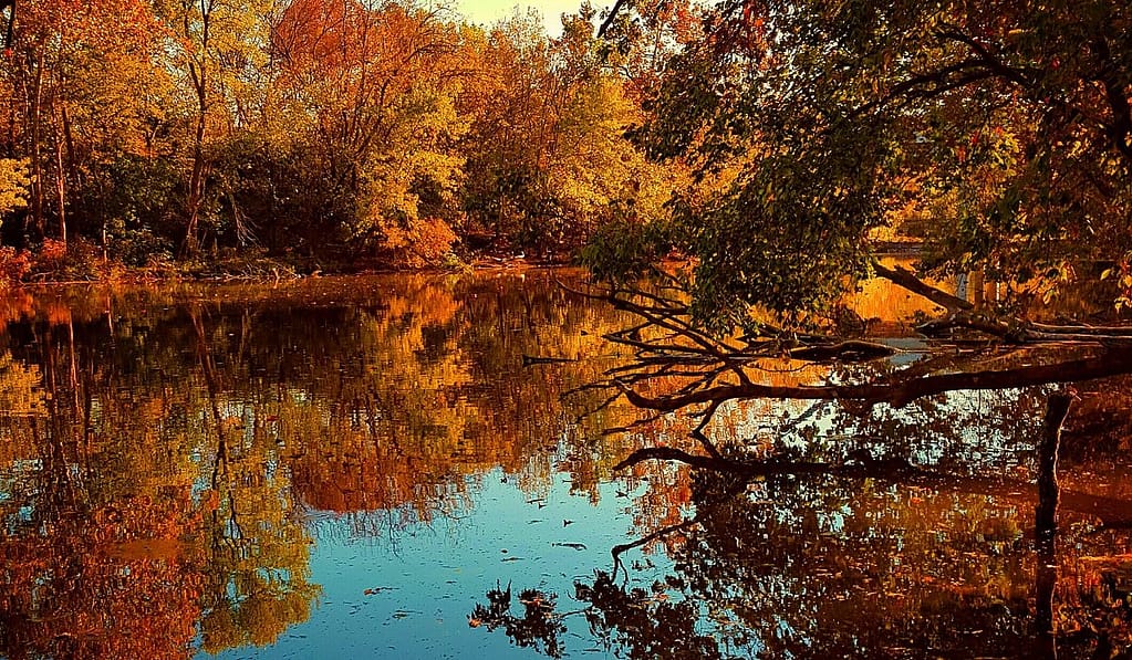 Things to Do in Murfreesboro