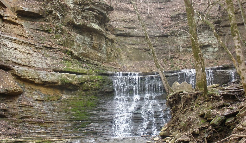 Things to Do in Tupelo Ms