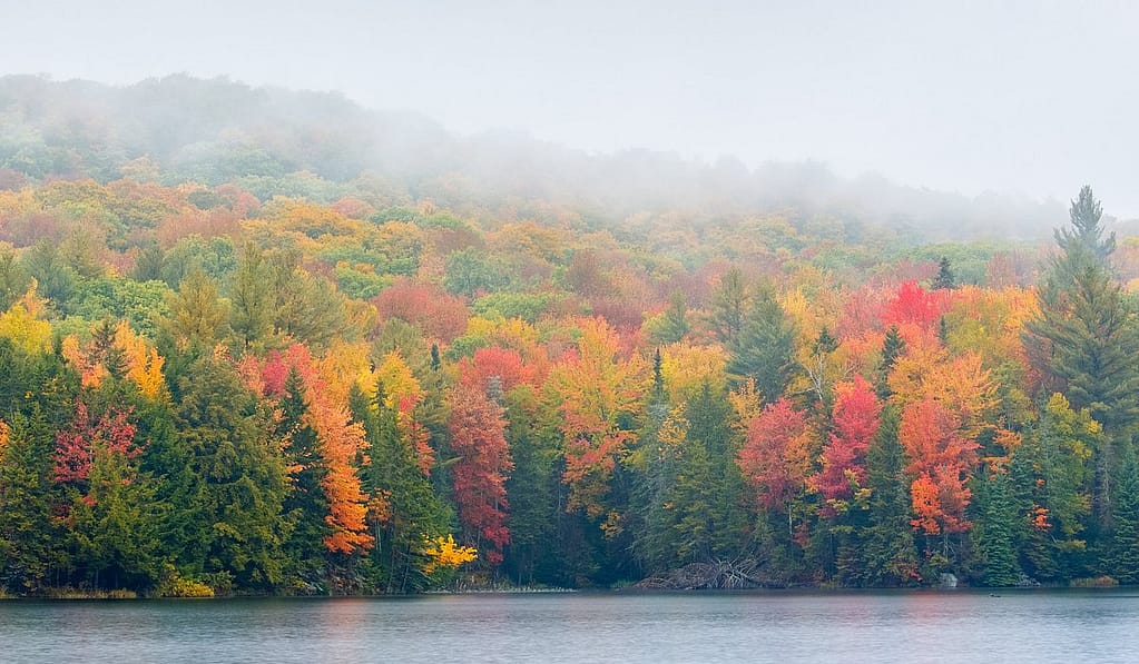 Things to Do in Vermont