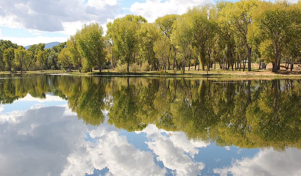 Things to Do in Cottonwood Az