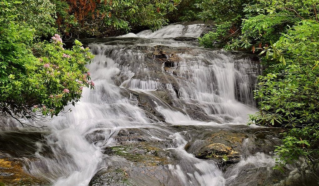 Things to Do in Franklin Nc