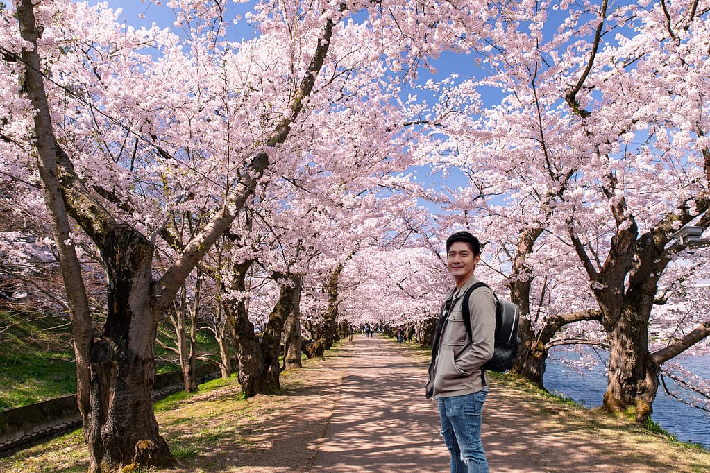 Best Place to Visit Japan for Cherry Blossoms