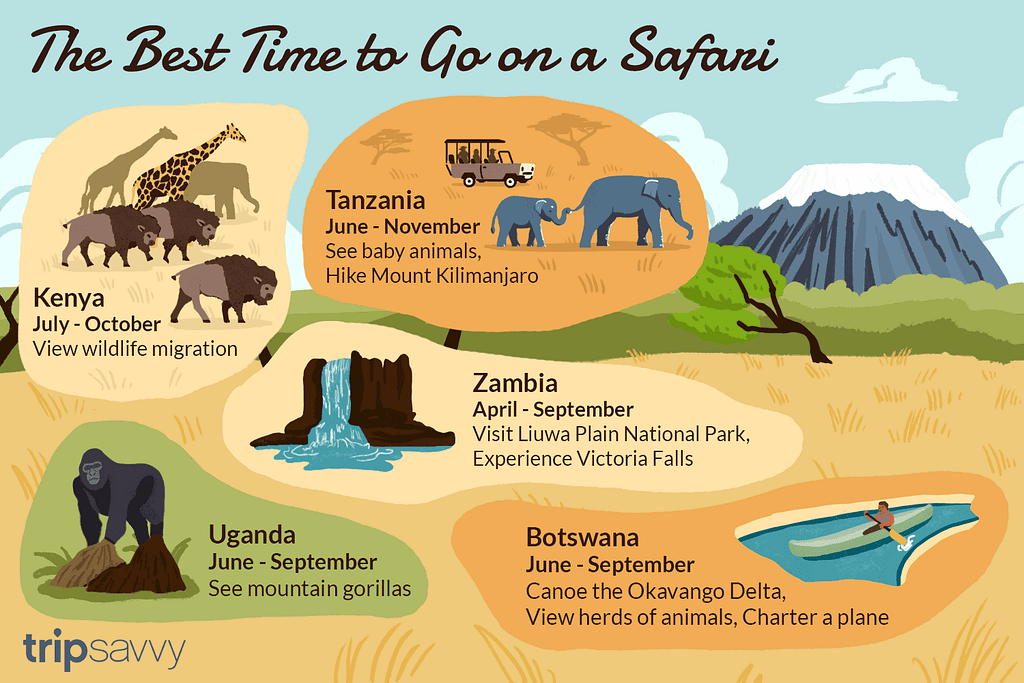Best Place for Safari in Africa