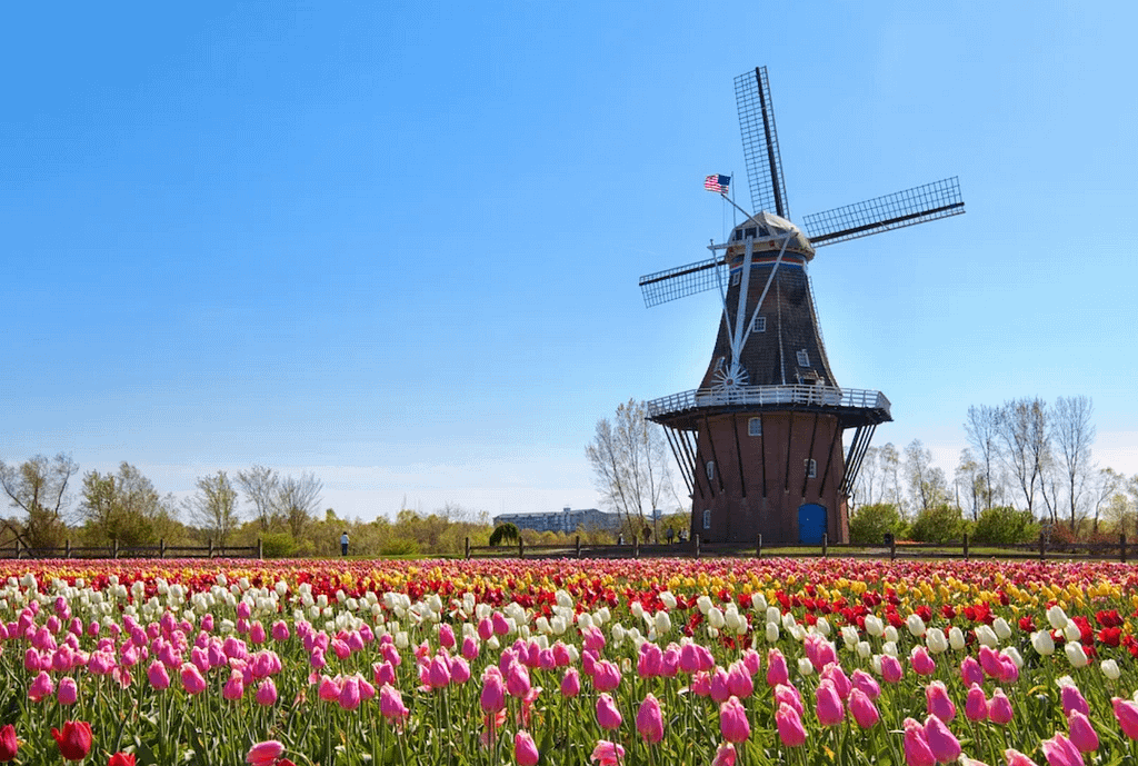 Things to Do in Holland Mi