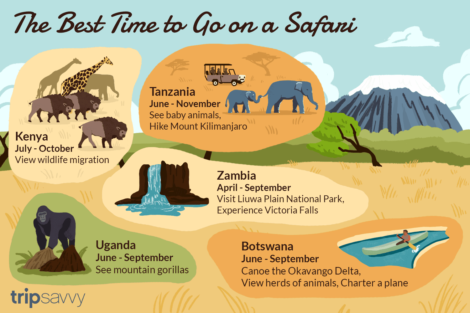 Best Place for Safari in Africa: Unforgettable Wildlife Adventures
