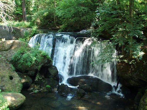 Things to Do in Bellingham Wa