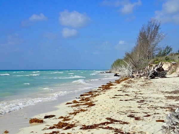 Things to Do in Freeport Bahamas