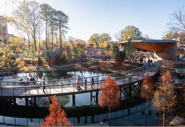 Things to Do in Cary