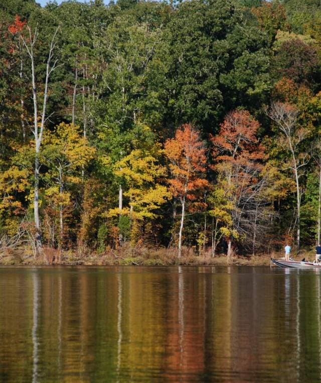 Things to Do in Asheboro Nc