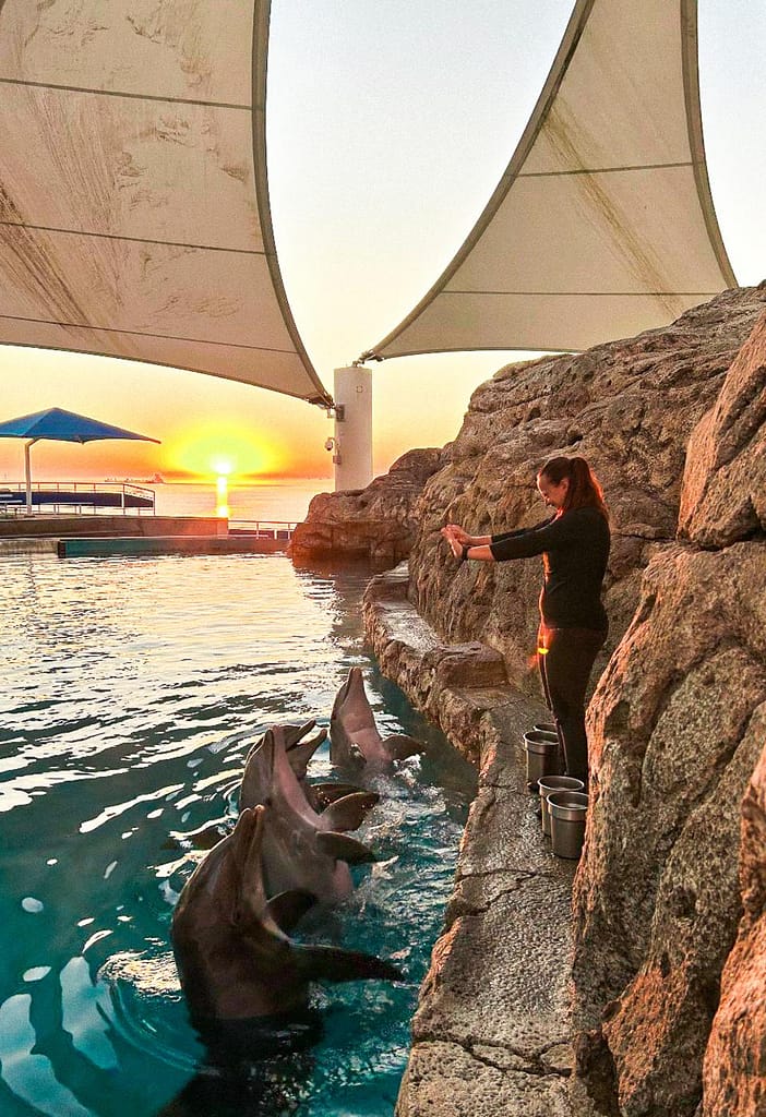 Things to Do in Corpus