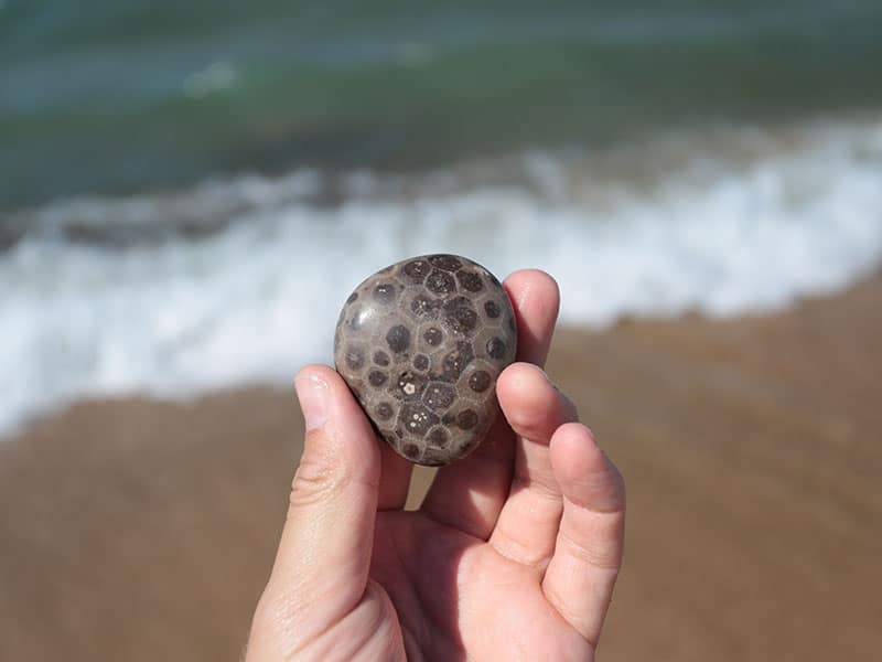 Things to Do in Petoskey