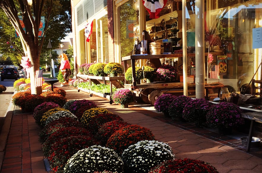 Things to Do in New Bern Nc